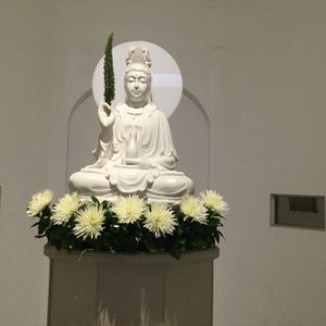 Meet your Posher, Lawrence